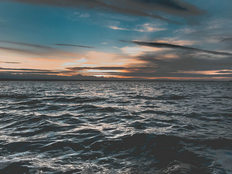 1666934273906602.jpeg COD檢測 (65).jpeg