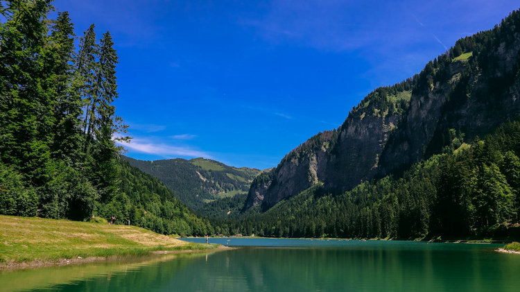 cod氨氮總磷總氮等檢測 cod氨氮總磷總氮等檢測