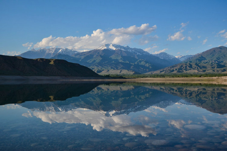 COD消解器 COD消解器