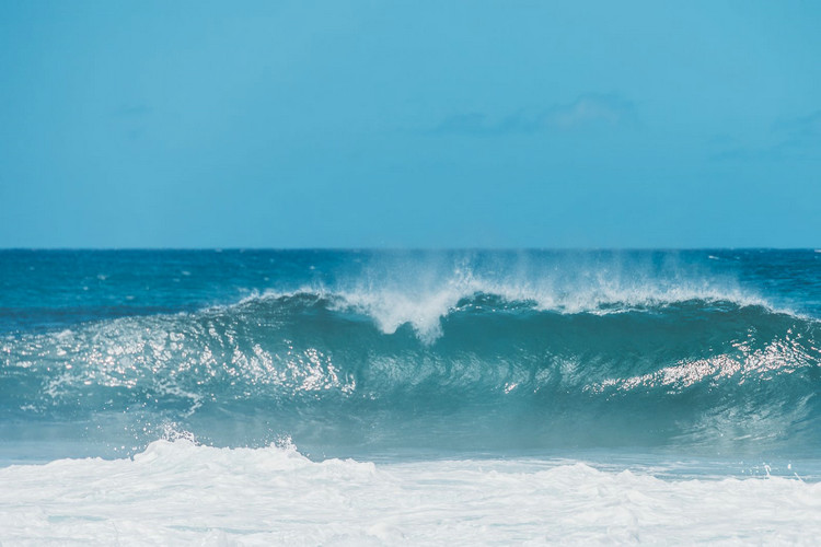 總氮測(cè)定儀 總氮測(cè)定儀