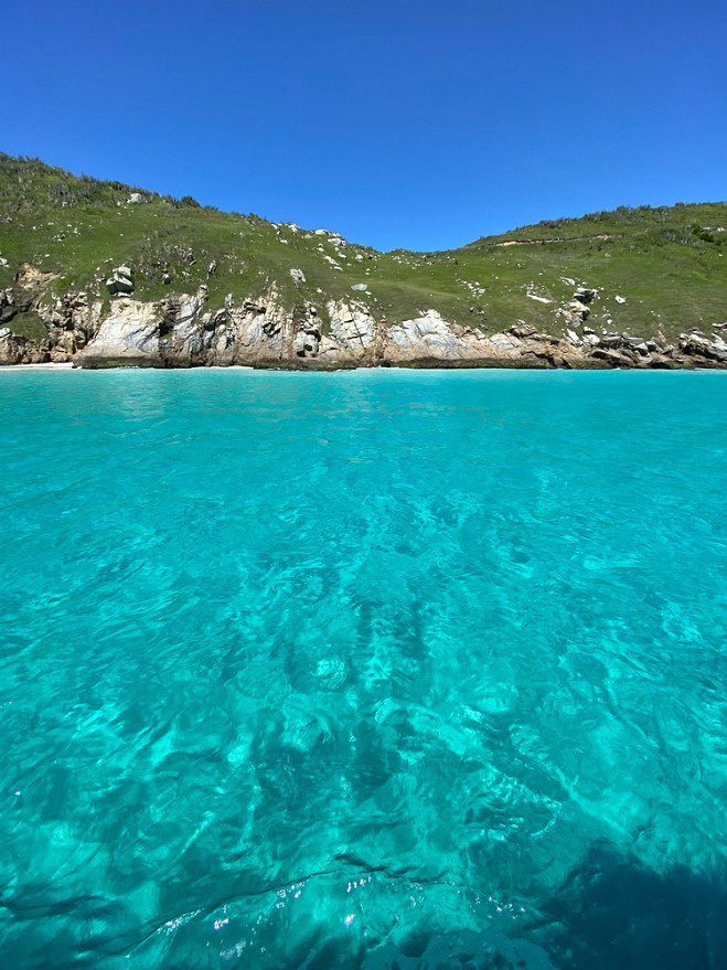 總氮測定儀 總氮測定儀