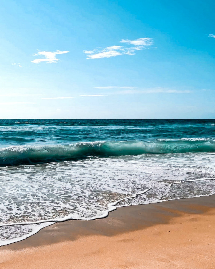 COD消解器 COD消解器