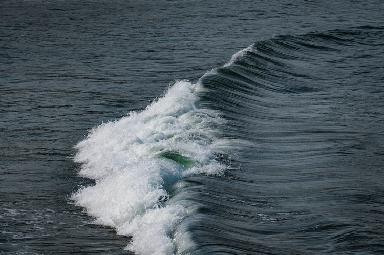 COD消解器 COD消解器