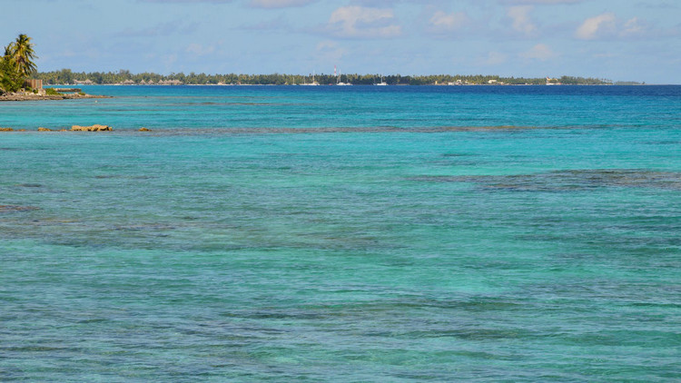 氨氮測(cè)定儀 氨氮測(cè)定儀