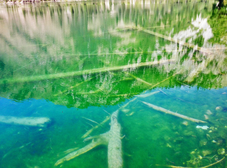 余氯測(cè)定儀 余氯測(cè)定儀