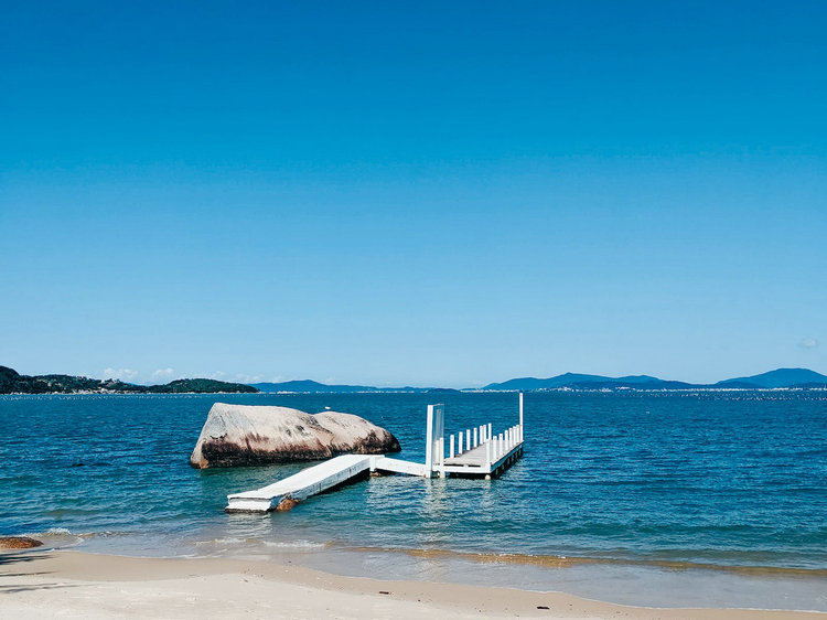 余氯/總氯分析儀 余氯/總氯分析儀