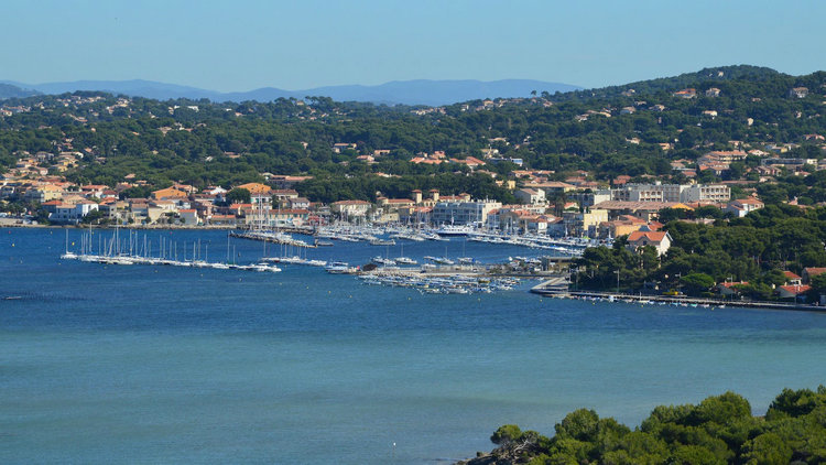 在線余氯/總氯監(jiān)測儀 在線余氯/總氯監(jiān)測儀