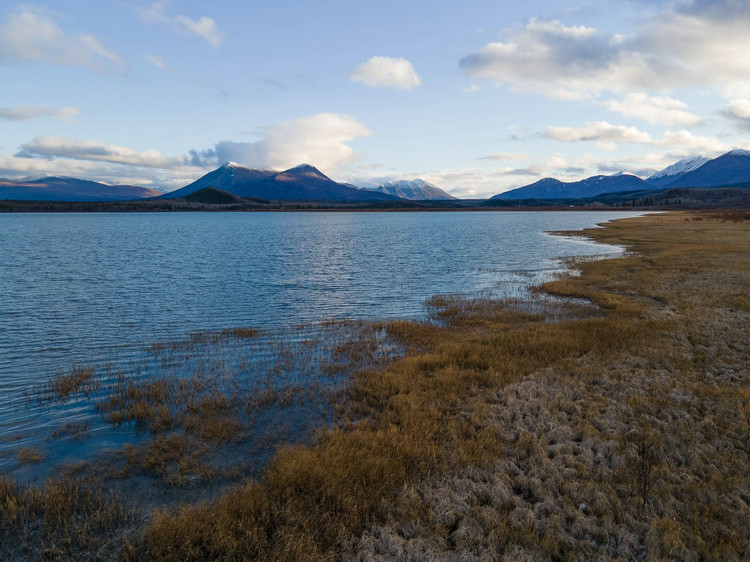 余氯比色器 余氯比色器