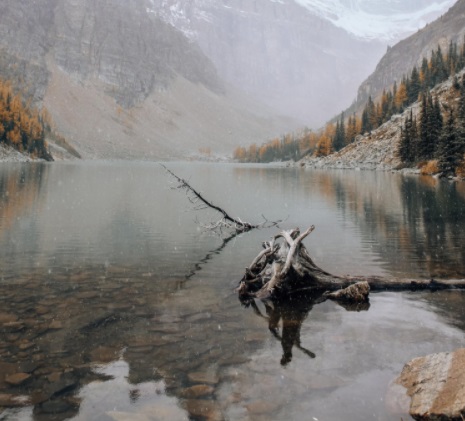 1670837765966725.jpg 7.jpg