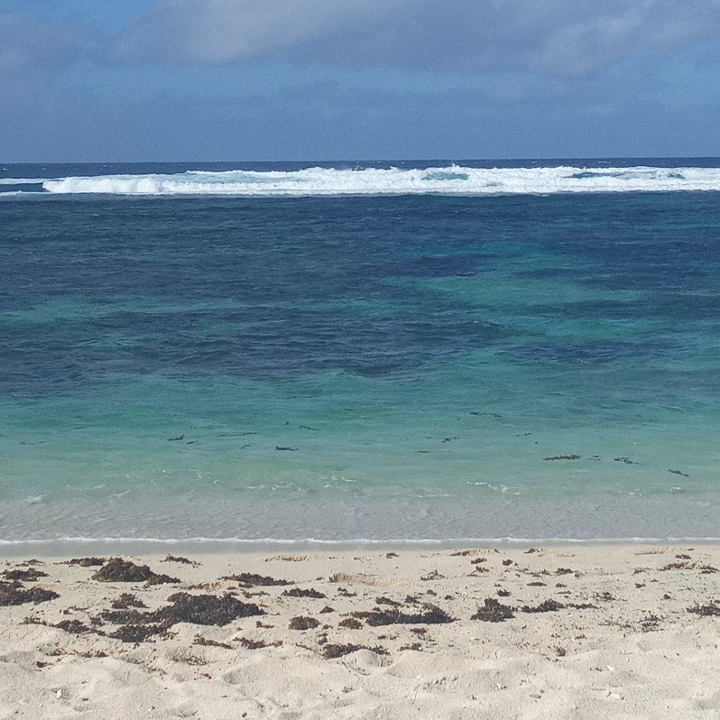 1671268228882049.jpg 42.jpg