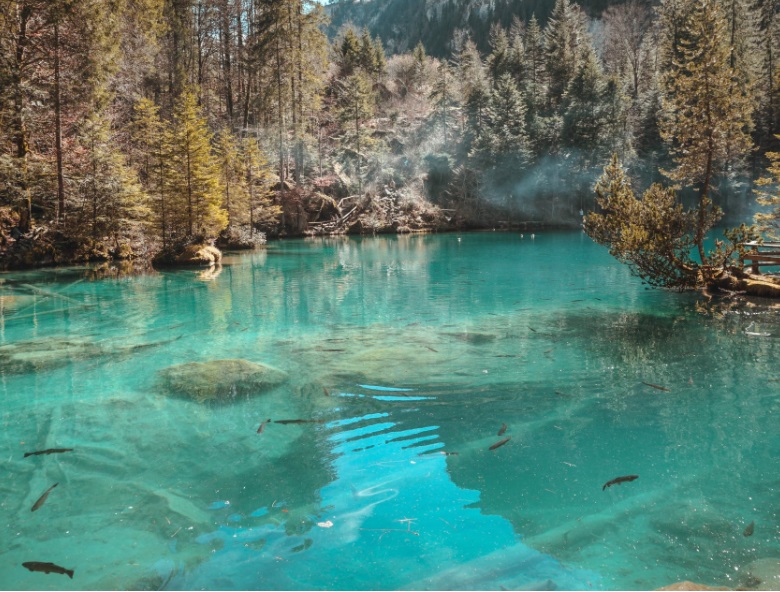 1675328527689733.jpg 4.jpg