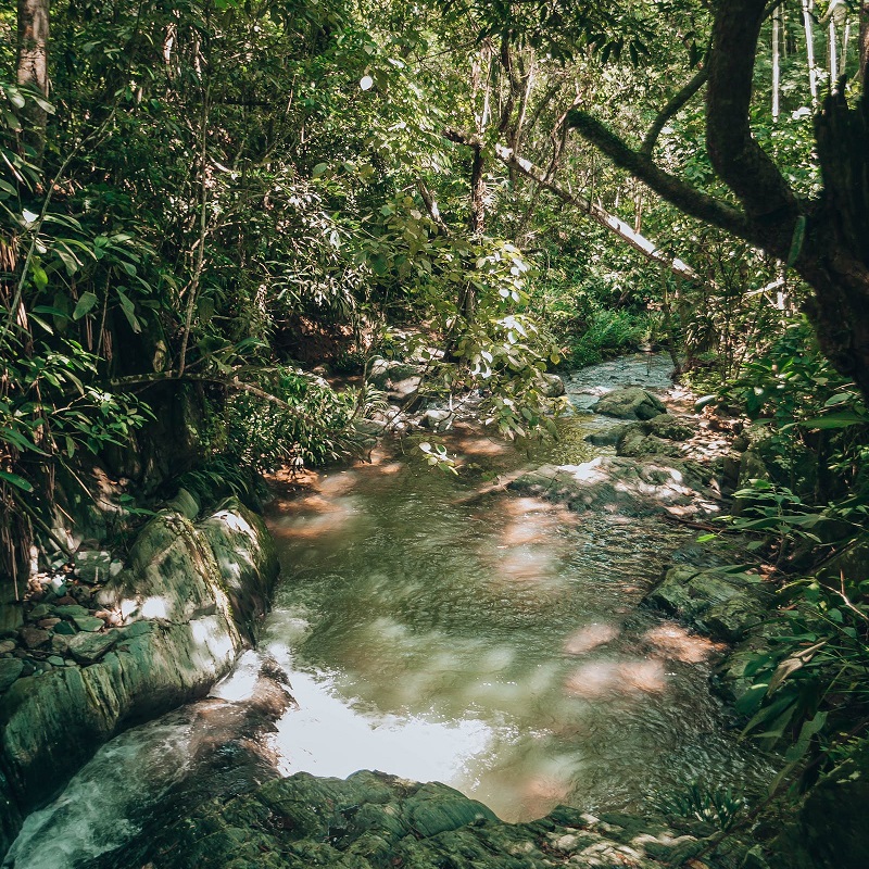 1677141223239385.jpg 45.jpg