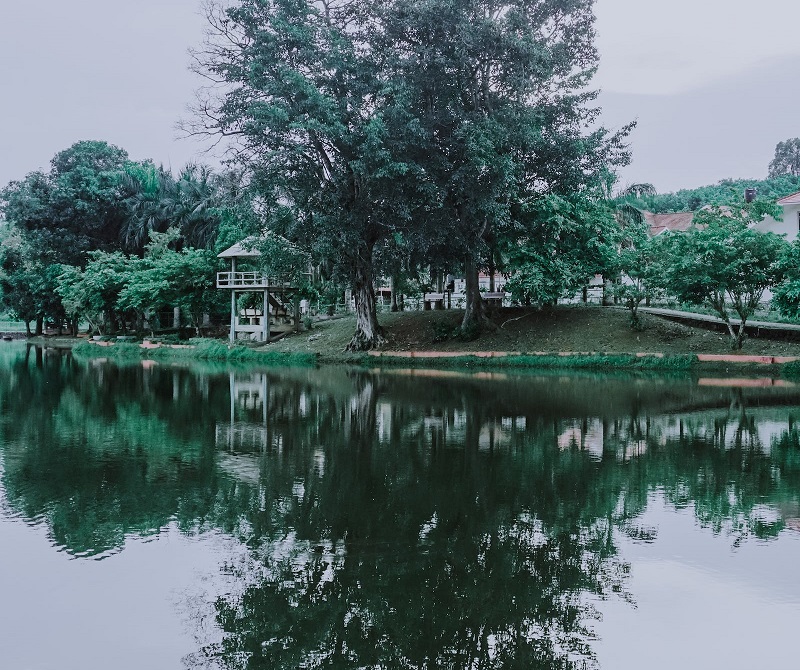 1679994397809612.jpg 135.jpg