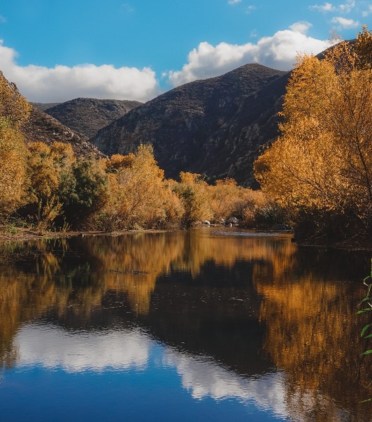 1683549718597599.jpg 26.jpg