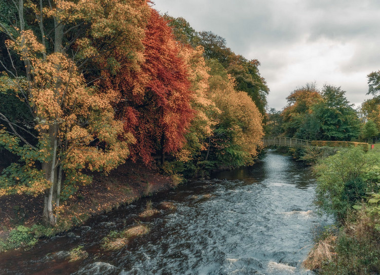 1683868768386369.jpeg 河流7.jpeg