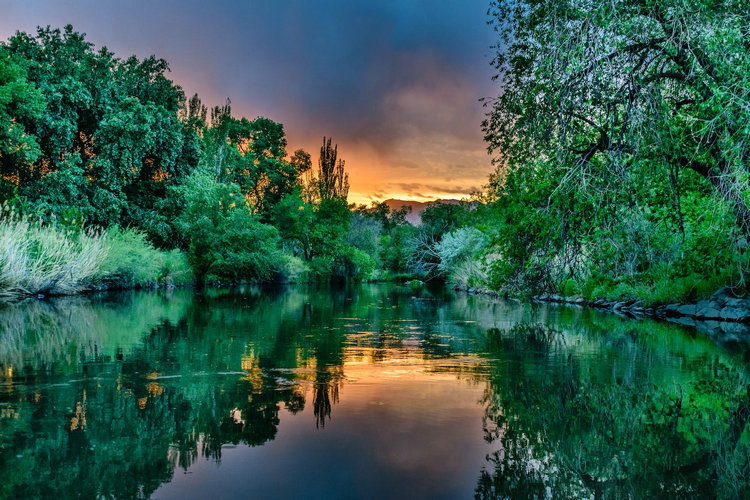 濁度計(jì)傳感器 濁度計(jì)傳感器