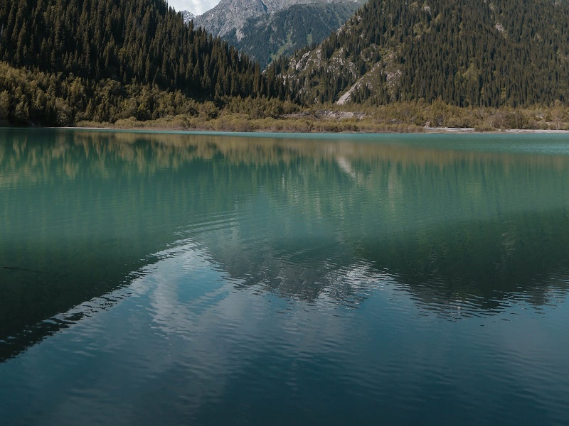 1690033203322664.jpg 137.jpg