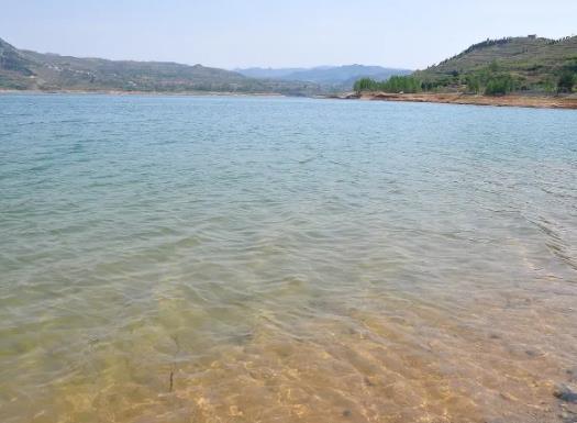 1691072645462826.jpg 20.jpg