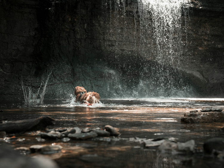 1692751808391353.jpeg 河流21.jpeg