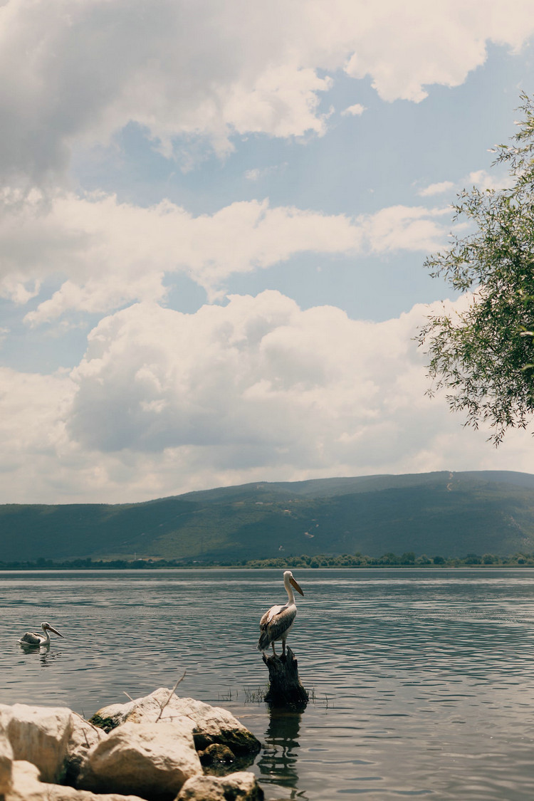 1697157413369869.jpeg 湖泊21.jpeg