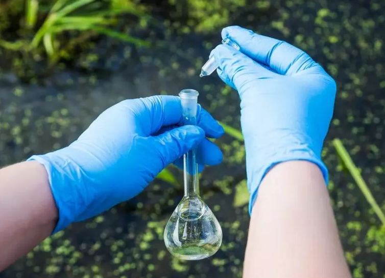 1701235637695473.png 202203241518304810.png