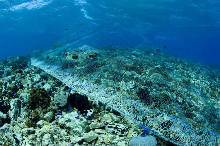 海洋水污染 海洋水污染