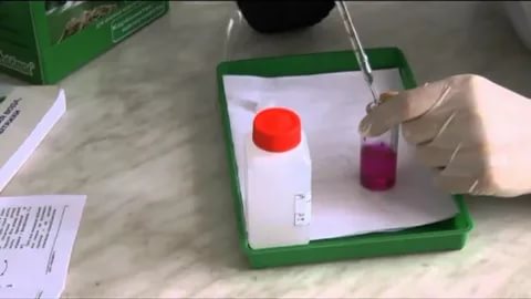 1713143462699471.jpg 202101251557465152.jpg