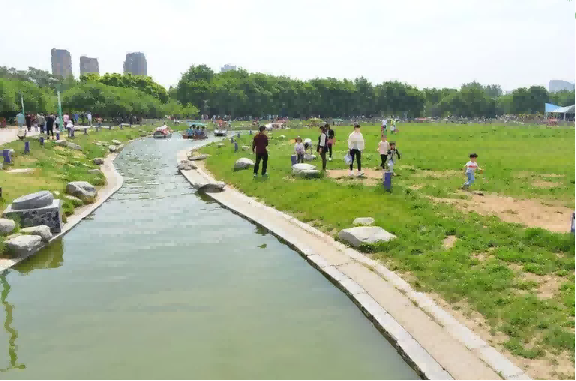 1713578069422166.png 2020103114501120.png