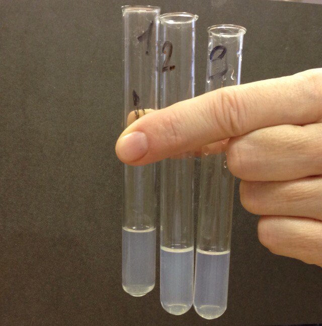 1716945571538266.jpg 202012181528071814.jpg