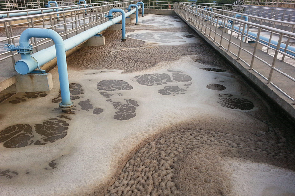 1721610737499896.png 1-1ZH5100635W9.png