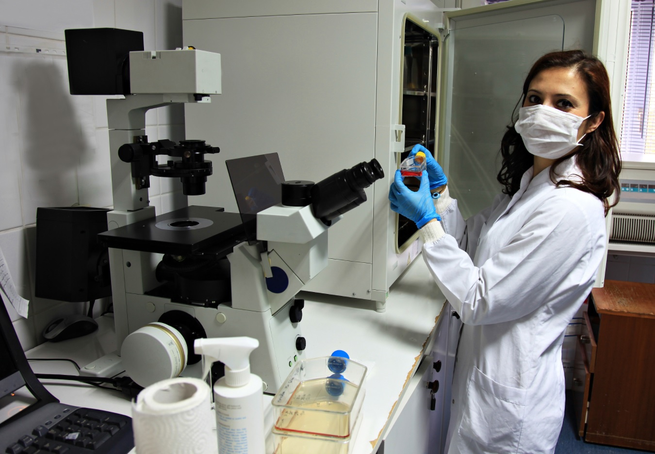 1733360601103813.jpg 233.jpg