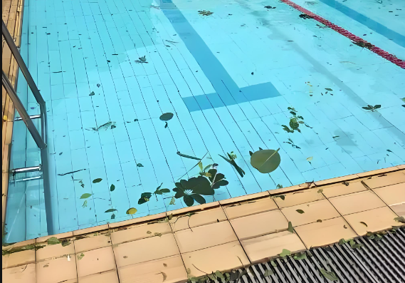 泳池消毒劑 冬季游泳池消毒