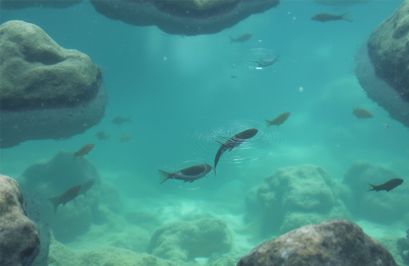 南岸水質(zhì)測(cè)定監(jiān)測(cè)儀