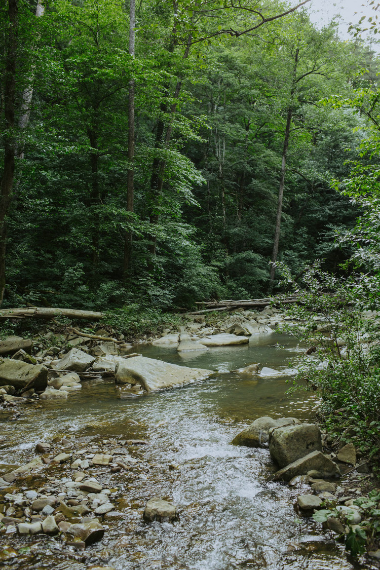 湖南岳陽(yáng)游動(dòng)電流儀