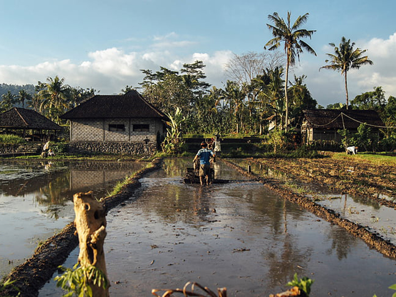 土壤墑情監(jiān)測系統(tǒng).jpg 現(xiàn)代化農(nóng)業(yè)與抗旱減災(zāi).jpg
