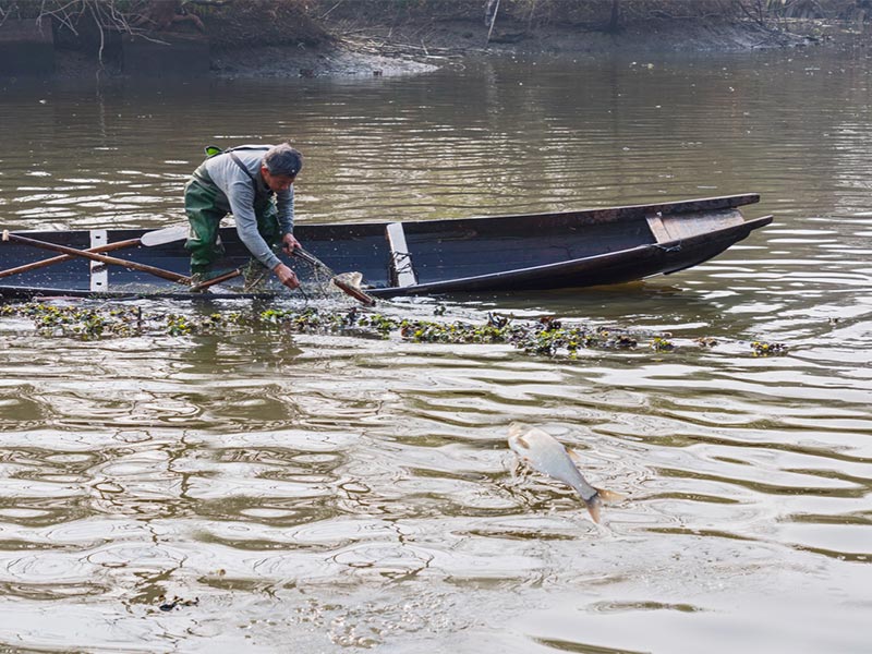 水產(chǎn)養(yǎng)殖監(jiān)測水質(zhì)管理 水質(zhì)檢測分析儀.jpg