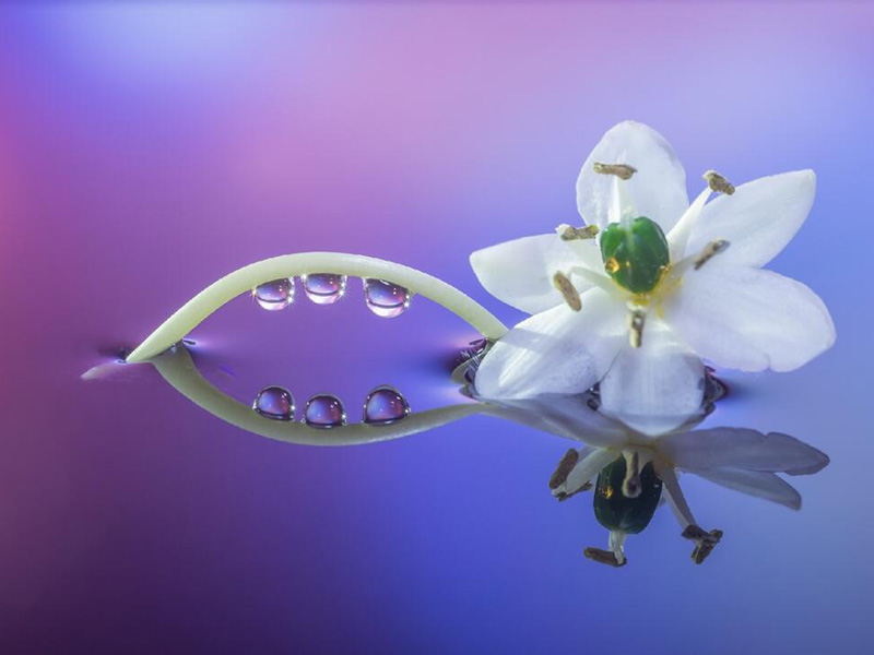 1758088270184126.jpg 1654760010191250.jpg