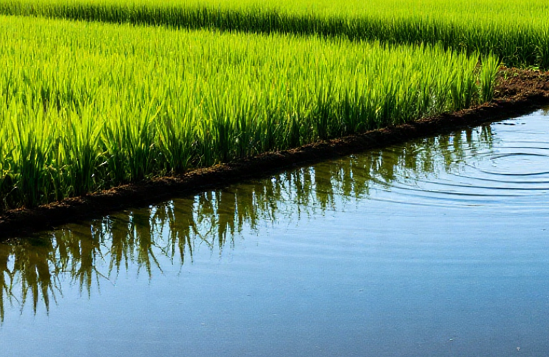 1758588930885239.png image (1).png