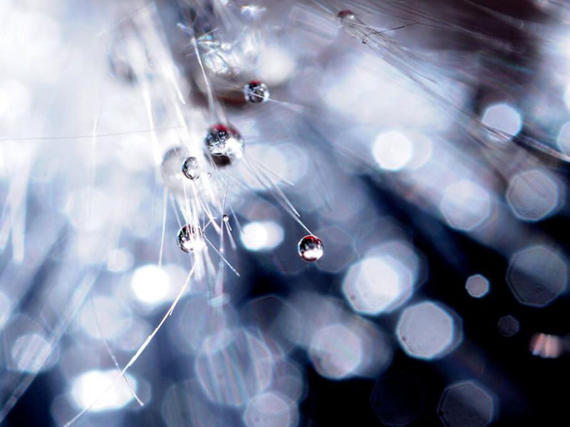 1759901100248125.jpg 醫(yī)療廢水檢測(cè)儀