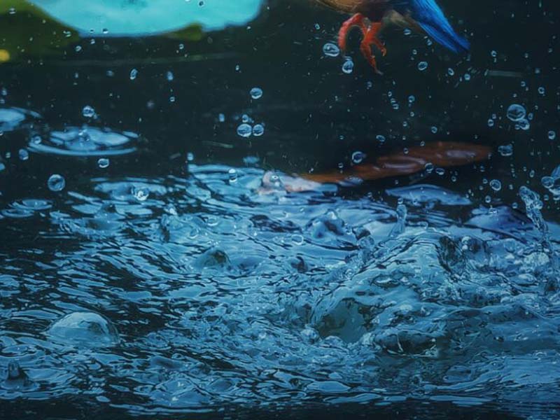 水質(zhì)總磷在線監(jiān)測儀