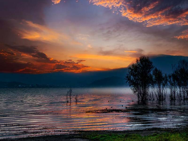 污水處理廠氨氮水質(zhì)檢測(cè)儀