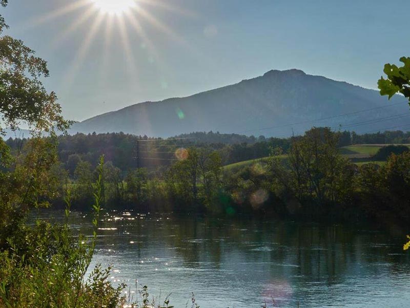 “COD去除劑”的真相與問題反饋