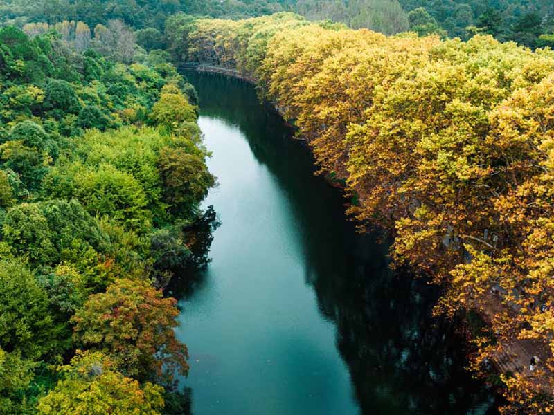 濁度水質(zhì)檢測(cè)儀