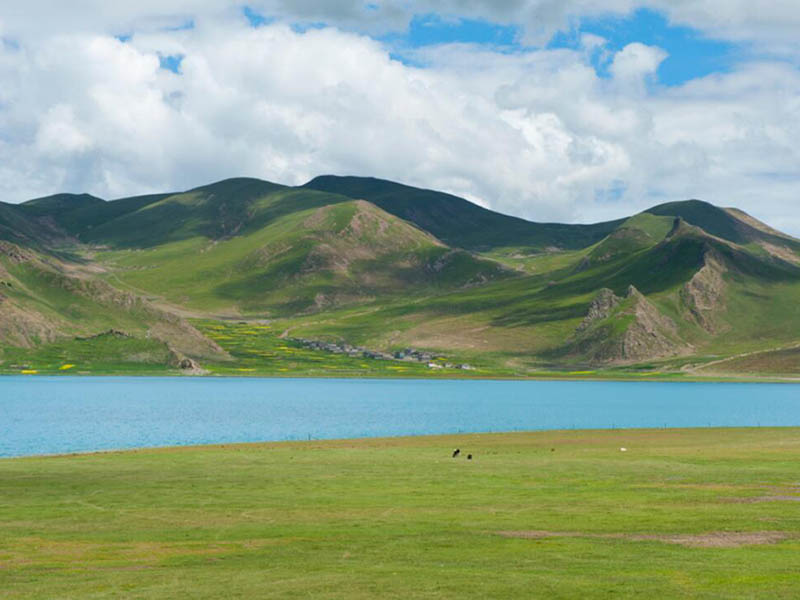 便攜式微量溶解氧檢測儀