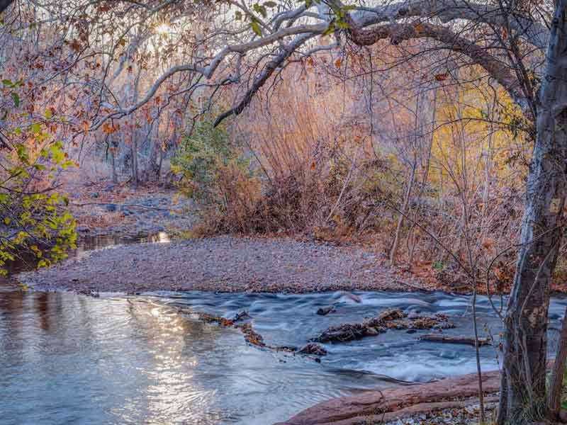 水質(zhì)揮發(fā)酚檢測儀