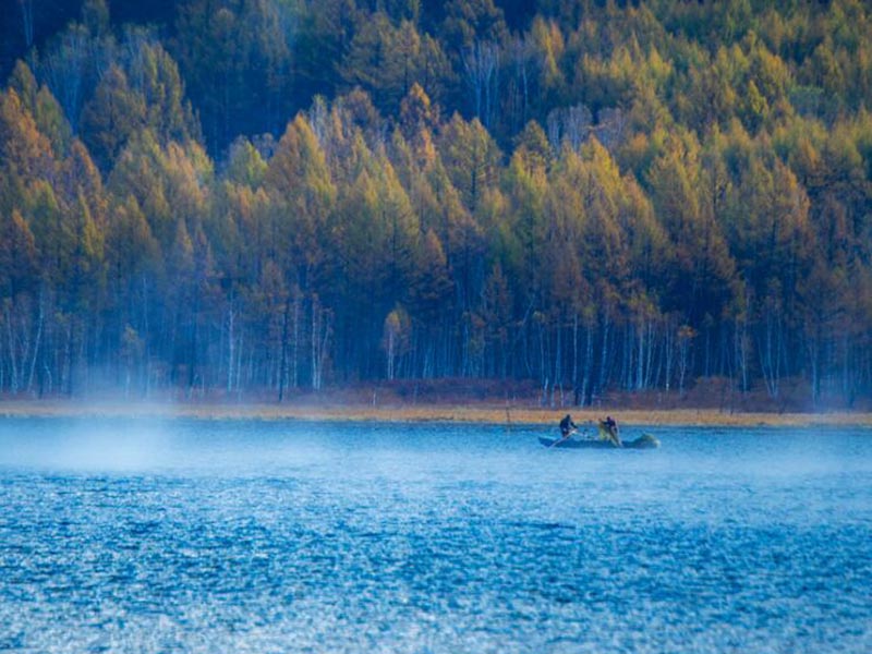 二氧化硅檢測儀