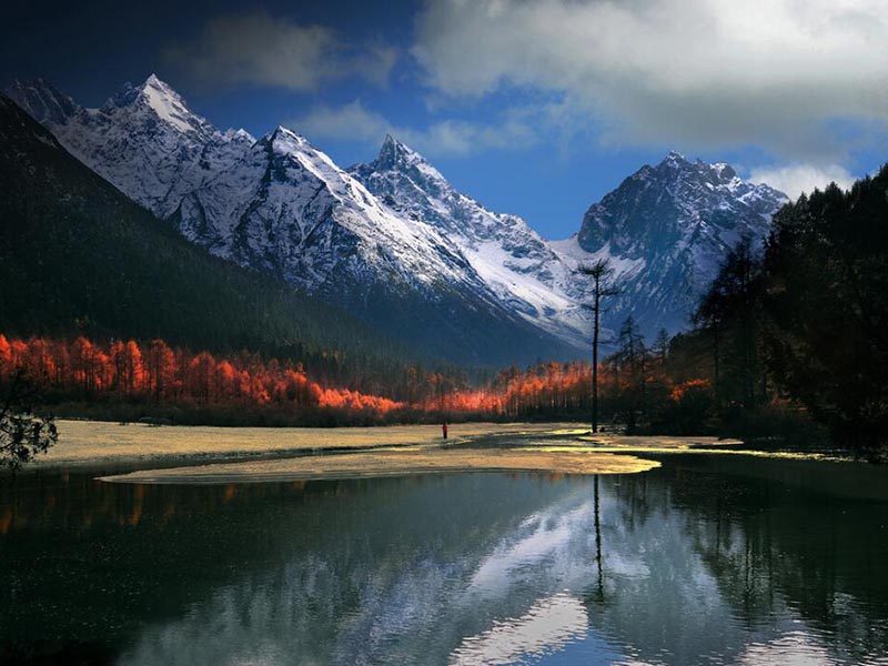 總有機碳監(jiān)測儀