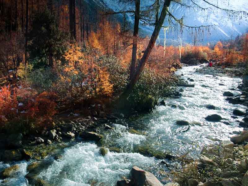 COD在線自動(dòng)測定分析儀