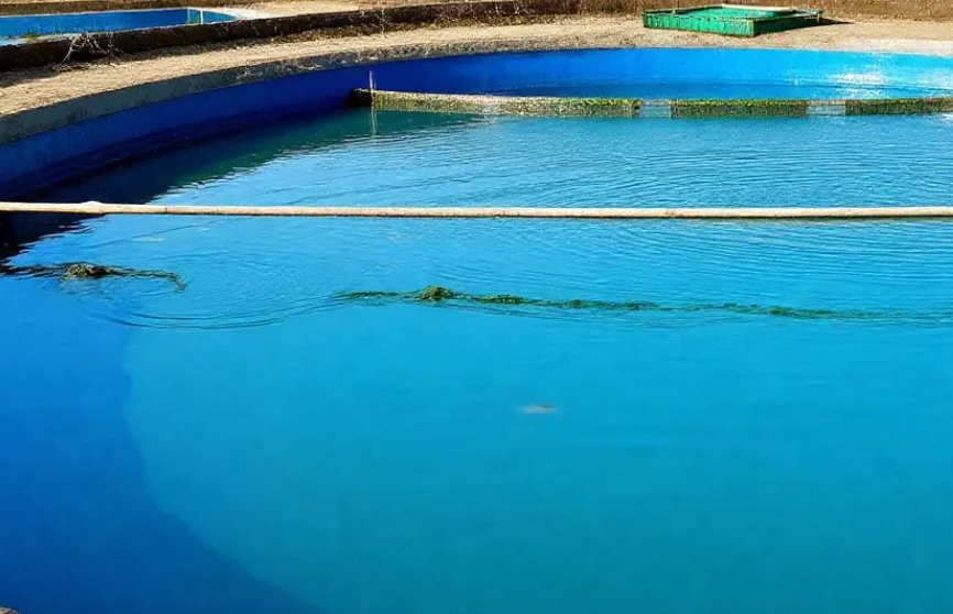 COD水質(zhì)快速測(cè)定儀