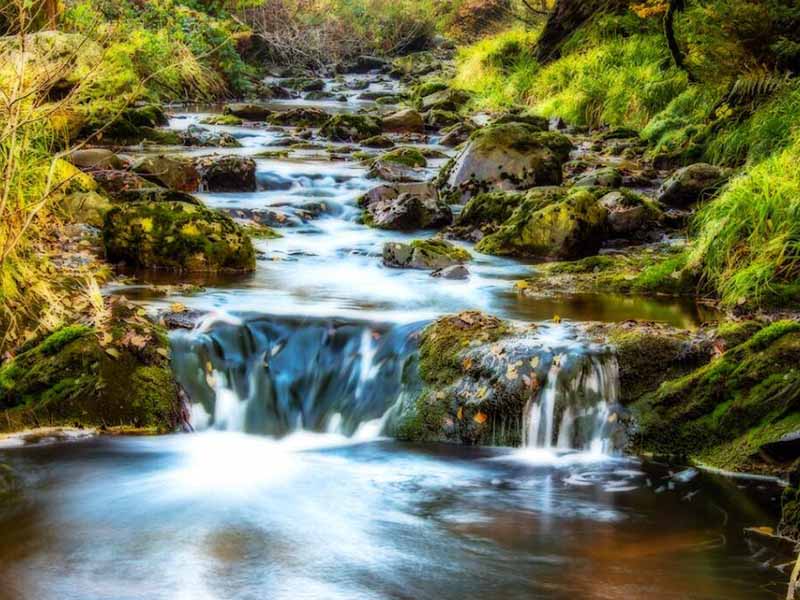 藻類水質(zhì)檢測儀